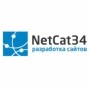 Фрилансер NetCat34 Web Studio