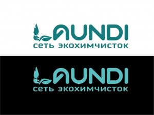Логотип для сети химчисток