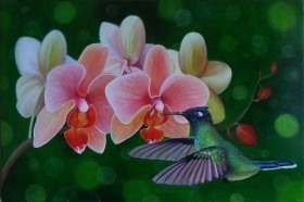 орхидея и колибри