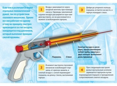 Инфографика &laquo;Подводное ружье&raquo;