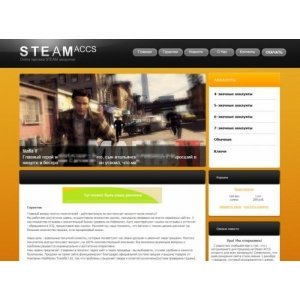 Steam Accs