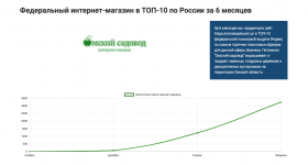Федеральный интернет-магазин в ТОП-10 по России за 6 месяцев