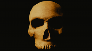 Визуализация черепа человека