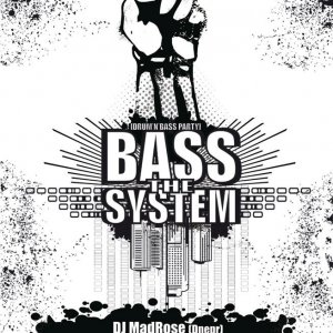 bass system