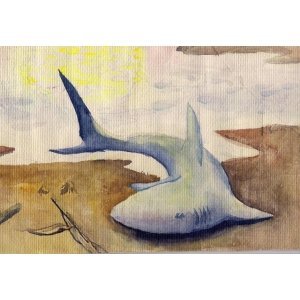 акула(фрагмент)