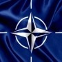 Фрилансер NATO ANO