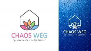 Chaos Weg. Клининговая компания Нидерланды