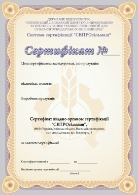 Разработка дизайна сертификата