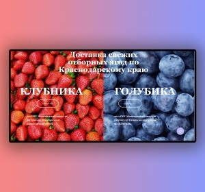Сайт для продажи ягод