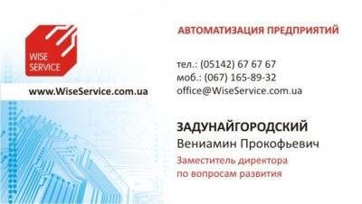 Варианты визитки Wise Service