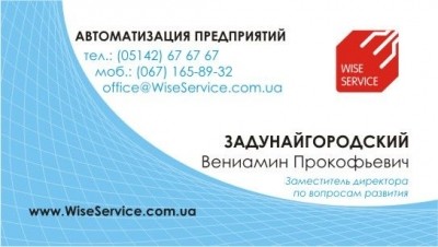 Варианты визитки Wise Service