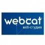 Студия Webcat