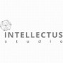 Фрилансер Intellectus Studio