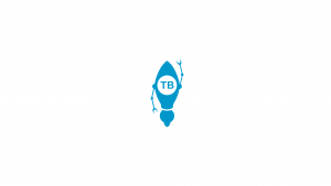 Логотип для телеграм ботаканала Telebooster