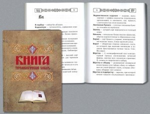 Терминологический словарь Книга